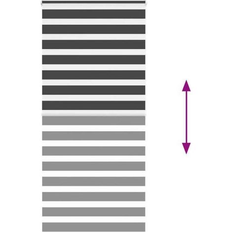 Store Zébré - 110 x 200 cm - Polyester 100 % - Montage Mur ou Fenêtre - Noir (1/5)