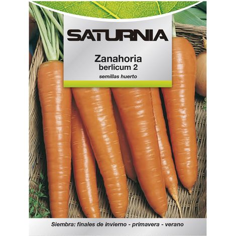 Semillas Huerto Zanahoria Berlicum (1/2)