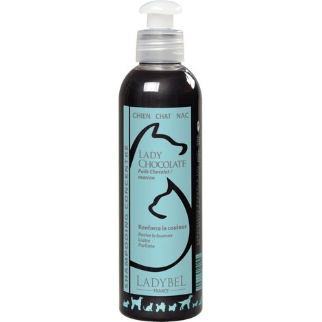 Shampooing Lady Chocolate par LadyBel (1/2)