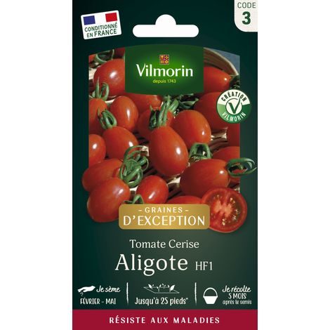 sachet graines Tomate Aligote HF1 vilmorin (1/3)