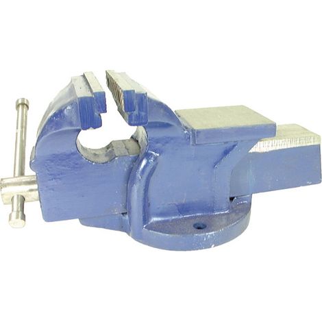 Schraubstock, Parallelschraubstock 100mm Backenbreite 125mm Spannweite
