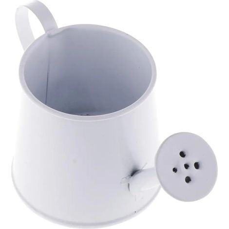 Petit arrosoir en fer vase pot de jardin couleur (1/5)
