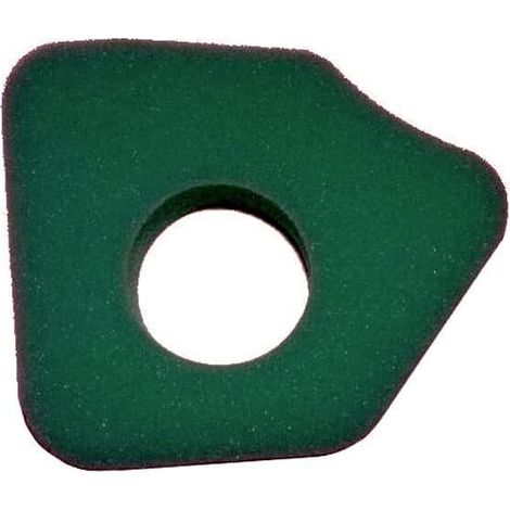 Filtro Air BRIGGS et STRATTON 794071