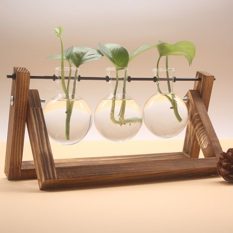 Plantes hydroponiques Transparent support en bois Vase support bureau plante conteneur décoration ornement-3 grilles, 281410 cm, 1 ensemble (1/4)