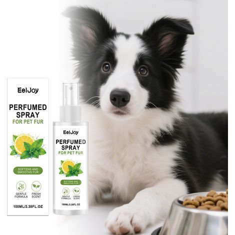 Spray parfumé pour pelage d'animaux (Menthe Citron) - Démêle les poils emmêlés pour un aspect lisse et frais - 100 ml -- AUTLEAD (1/5)