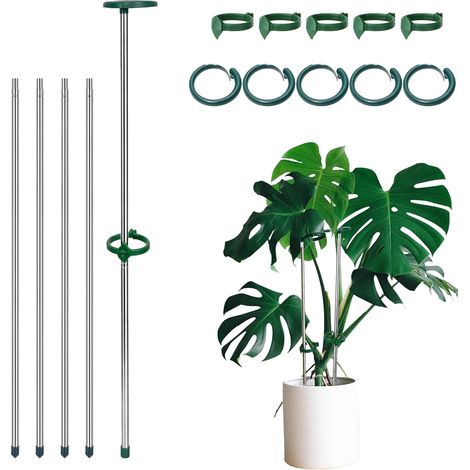 Tuteurs pour Plantes, Réglables Tuteur Monstera 28-52cm avec Clips pour l'intérieur et l'extérieur, Tuteurs de Jardin pour Plantes, Tomates, Légumes, Monstera, Orchidée, Plantes Grimpantes (1/5)