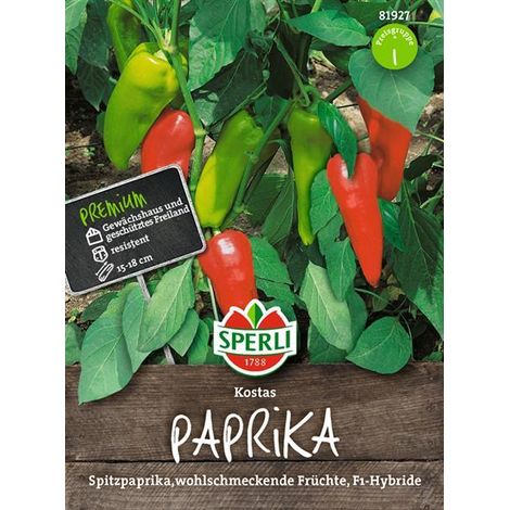 Sperli Paprika Kostas F1 - Gemüsesamen (1/4)