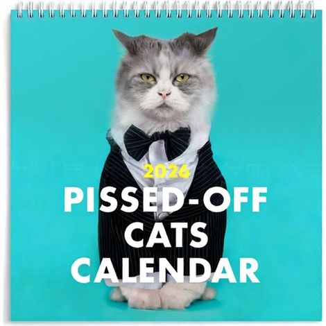 Calendrier mural 2026 pour les amoureux des chats. Illustration unique pour chaque mois. Décoration de cuisine. (1/4)