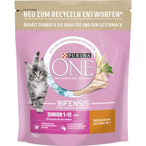 Purina ONE Junior reich an Huhn und Vollkorn-Getreide 750 g