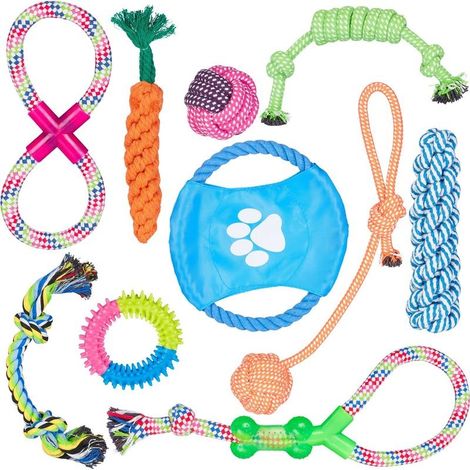 Lot de 10 jouets pour chiens Corde, disque-volant, élastique Pour petits et moyens chiens Couleurs vives, résistant (1/5)