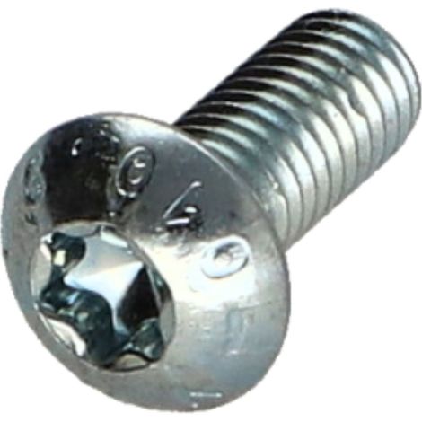 Vis métaux Tête bombée TORX T30 M6X20 Classe 10.9 Acier zingué - 1 pièce (1/5)