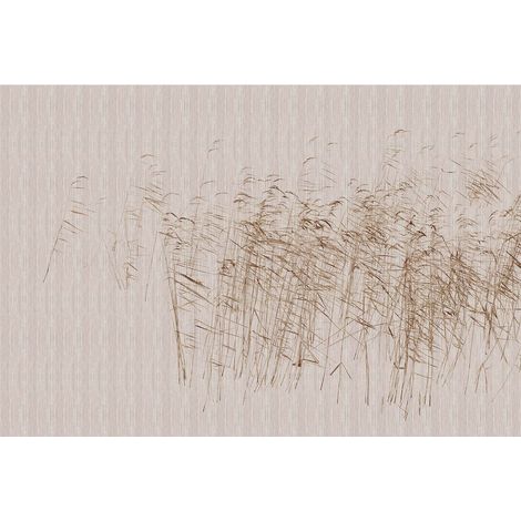 Papier peint panoramique abstrait à motif nature Tapisserie panoramique beige & gris effet vent bureau Papier peint panoramique salon aspect blé (1/2)