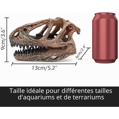 Dinosaure Crane Décoration D'Aquarium Décor Decoration Statues Halloween Tete De Mort Decoration Deco Crâne Terrarium Squelette Paysagère pour Aquarium (1/2)