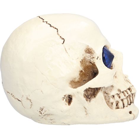 Crâne résine diamant Halloween décoration farce cadeau accessoire sinistre - Tête de mort 205mm (emballage carton inclus) (1/5)