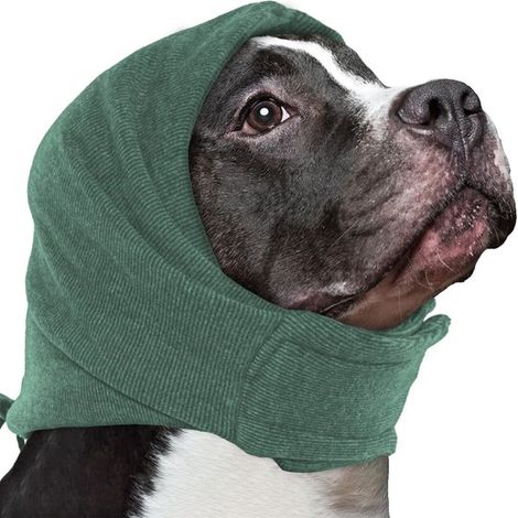 Sudadera suave y relajante para perros, orejeras para bañar y secar cachorros, reducción de ruido, diadema para ayudar a dormir, L (1/5)