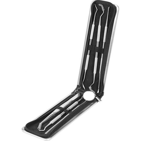 Ensemble de 6 sondes dentaires professionnelles en acier inoxydable avec manche pour le nettoyage et les outils dentaires (1/5)