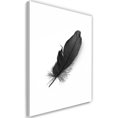 Tableau décoratif Plume Noir Nature 40x60 (1/5)
