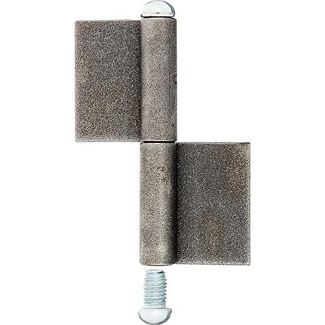 Alberts 414412 Cerniera per cancelli Metallici, Acciaio, 100 mm / Ø9 mm / 10 Stück (1/2)