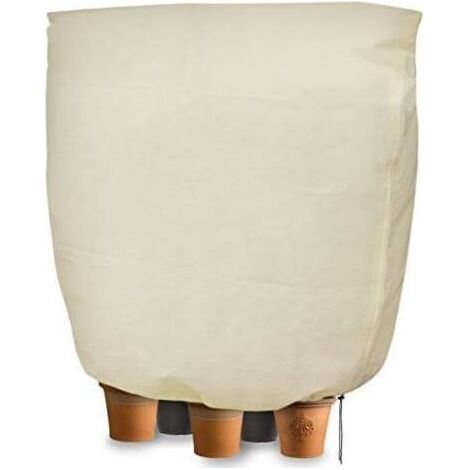 Housse hivernage pour Plantes, Housse d'hivernage Non tisse 80 g/m Protection Contre Le Gel des Plantes en Pots et rosiers (240x200cm)