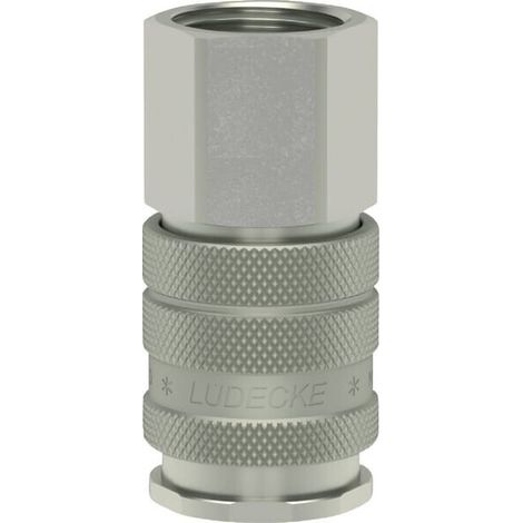 Giunto att rap fil in BSP 1/4" LÜDECKE ESI14I (1/2)