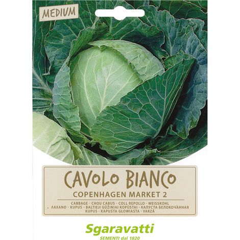 SEMI PER ORTAGGI E VEGETALI cavolo cappuccio Copenhagen Market