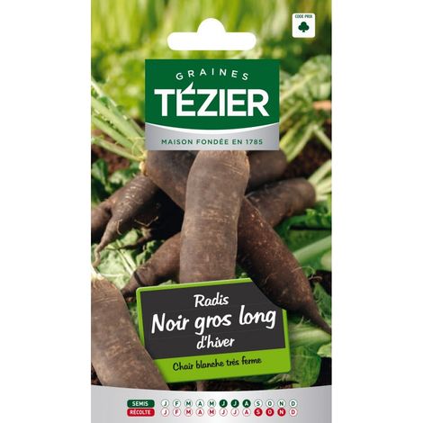 Tezier - Radis noir gros long d'hiver (1/2)