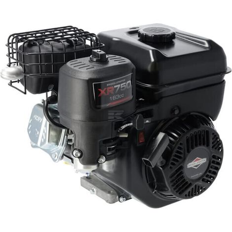 Moteur BRIGGS & STRATTON 1062320272F1 (1/5)