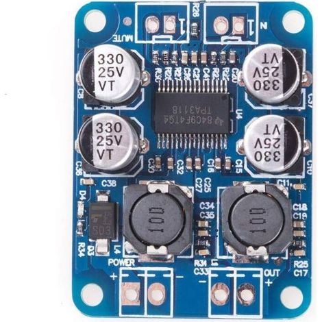 TPA3118 PBTL 60W DC 8-24V Mono Digital Audio Amplifier Board AMP Module Chip 1X60W 4-8 Ohms Replace TPA3110 for Arduino (1/5)