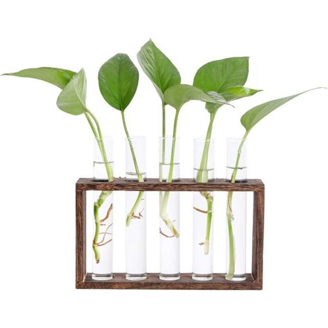 Test Tube Glass Vase with Wooden Stand for Hydroponic Plants Tube Vase Vintage
