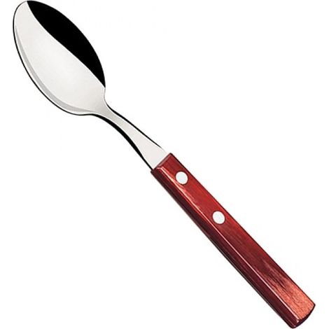 Cuillère bois 19 cm - Tramontina