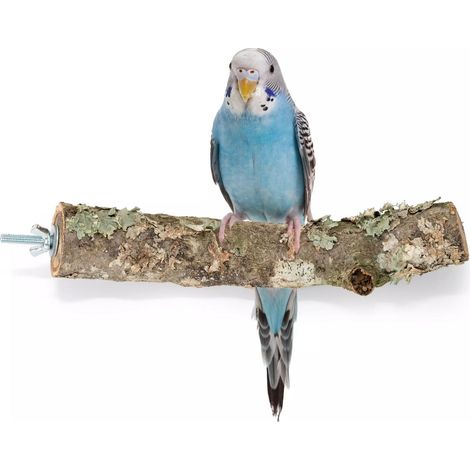 Percha de rama de alcornoque natural BioPoles para loros (1/5)