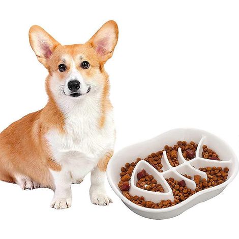 Gamelle anti-glouton pour chats et chiens, conception robuste avec système anti-gloutonnerie, convient aux chiots et aux chiens de taille moyenne. (1/4)