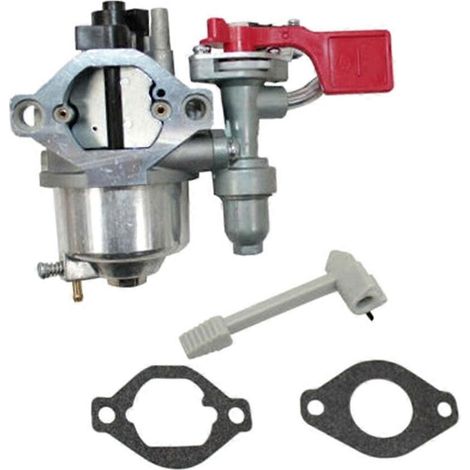 Carburateur pour moteur Stratton Vanguardremplace les références 84004885 et 799060 (1/5)