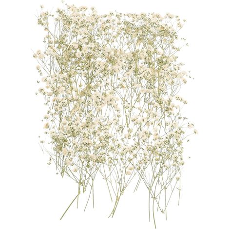 de fleurs séchées naturelles décoration artisanale avec 80