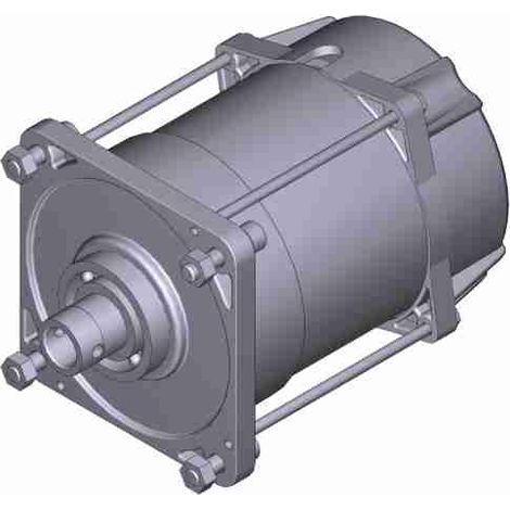 Gruppo Motore Elettrico 230v – E306 Ricambio CAME 119RIE151