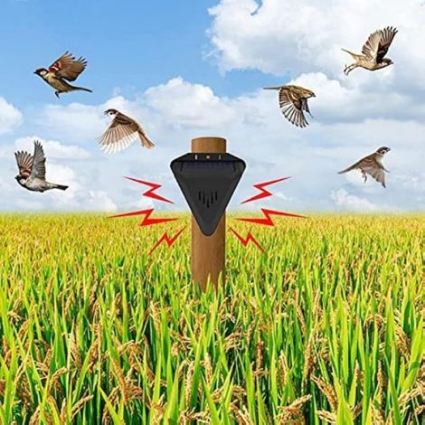 1 Répulsif à ultrasons solaire, Détecteur de mouvement, Étanche IP55, Pour jardin et ferme (1/5)