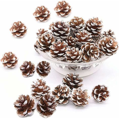 48 Pièces Pommes de Pin Naturelles Séchées Pommes de Pin Décoratives à Suspendre Décoration Pomme De Pin De Noël Décoration de Noël à Suspendre pour Décoration de Sapin de Noël (Blanc) (1/4)