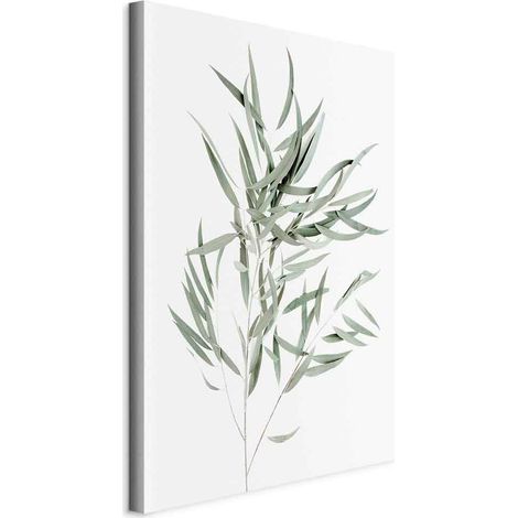 Peinture - Eucalyptus Nicholii (1 partie) verticale (1/5)