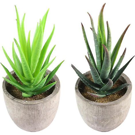 2 plantes succulentes artificielles (1/3)