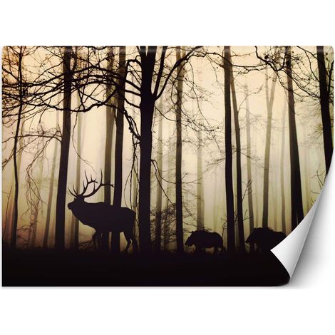Carta Da Parati, Animali nella foresta - 100x70 (1/5)