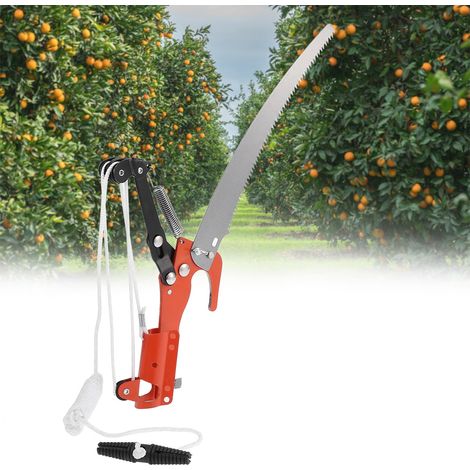 Ciseaux de jardin 2 en 1 pour branches hautes (scie à ciseaux, sans tige) (1/5)