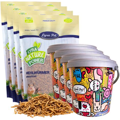 4 vers de farine Lyra Pet® de 10 litres dans un seau design