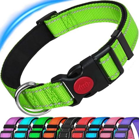 Collier pour Chien, Collier en Nylon Réfléchissant Réglable Classique avec Rembourré Doux Respirant Mesh pour Grands Chiens, L, Vert (1/5)
