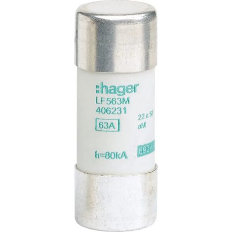 Cartouche fusible industrielle 22x58 gG 63A HAGER LF563G (1/2)