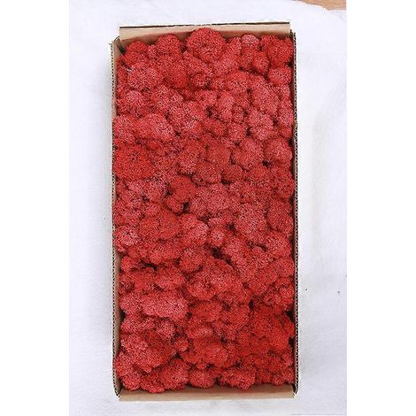 Décoration murale en mousse préservée. Véritable mousse préservée. Aucun entretien requis. Mousse naturellement préservée - Rouge vin. (1/5)
