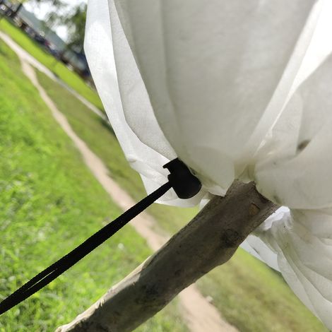 Paquete de 2 fundas protectoras de vellón para plantas – protección contra heladas, insectos y pájaros – color blanco – 1,2 x 1,8 m (1/3)