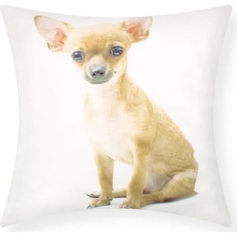Housses de coussin - AVIZAR - Lot de 2 - 40x40 cm - Motif Chihuahua - Contemporain (1/5)