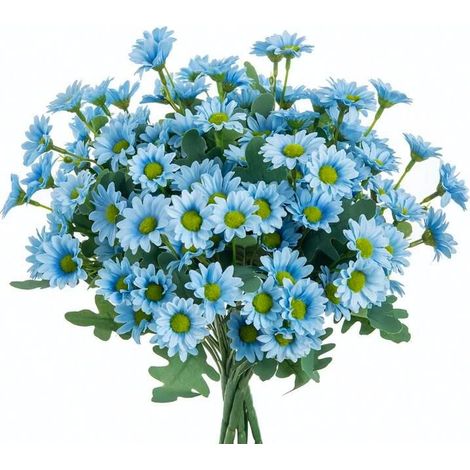 2000 graines de marguerites bleues, graines de fleurs, naturellement parfumées, plantes ornementales de jardin, engrais inclus. (1/5)