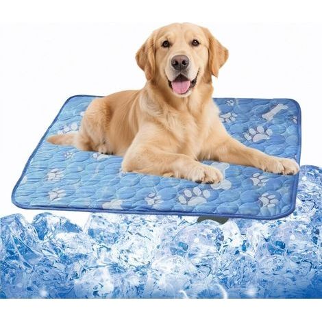 Tapis rafraîchissant pour chien XXL (140 x 100 cm), recommandé pour les chiens de moins de 80 livres (environ 36 kg). (1/5)