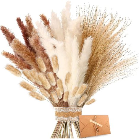 Herbe de Pampa - Pampa Naturelle Décoration, Frondes Moelleuses, Bouquet de Fleurs Séchées de Lagurus et de Carex, pour Arrangement de Fleurs Décoration d'intérieur (1/5)
